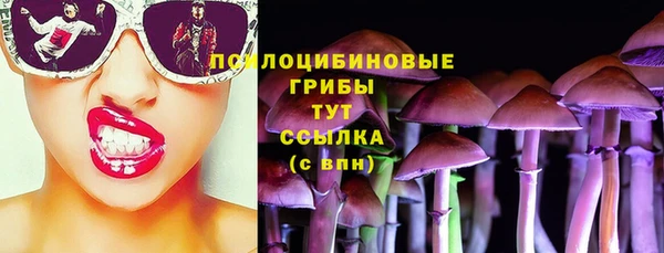 PSILOCYBIN Дмитриев
