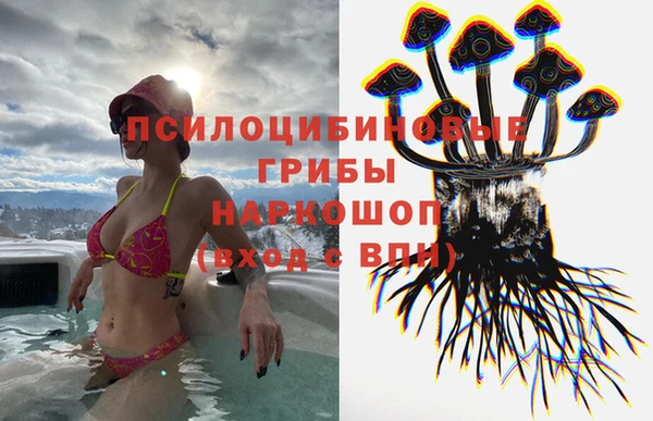 бутират Горняк