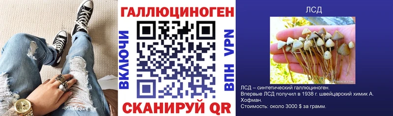 Галлюциногенные грибы MAGIC MUSHROOMS  нарко площадка как зайти  Жирновск  ОМГ ОМГ ссылка 